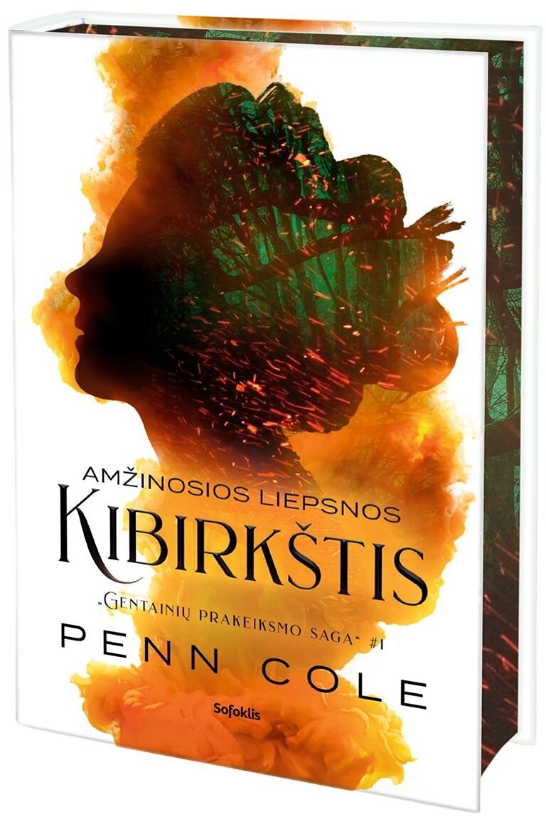 Amžinosios Liepsnos kibirkštis (delux) Amžinosios Liepsnos kibirkštis (delux)