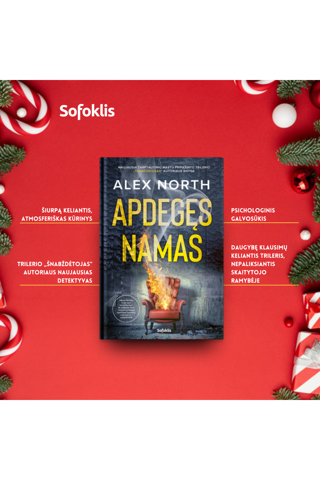 Apdegęs namas 3 Apdegęs namas 3
