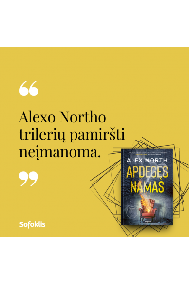 Apdegęs namas 4 Apdegęs namas 4