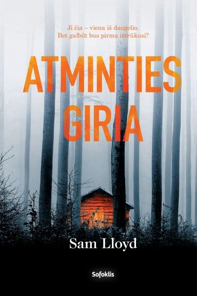 Atminties giria Atminties giria