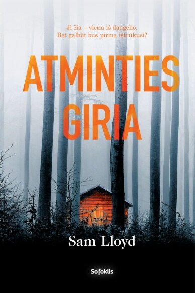 Atminties giria Atminties giria