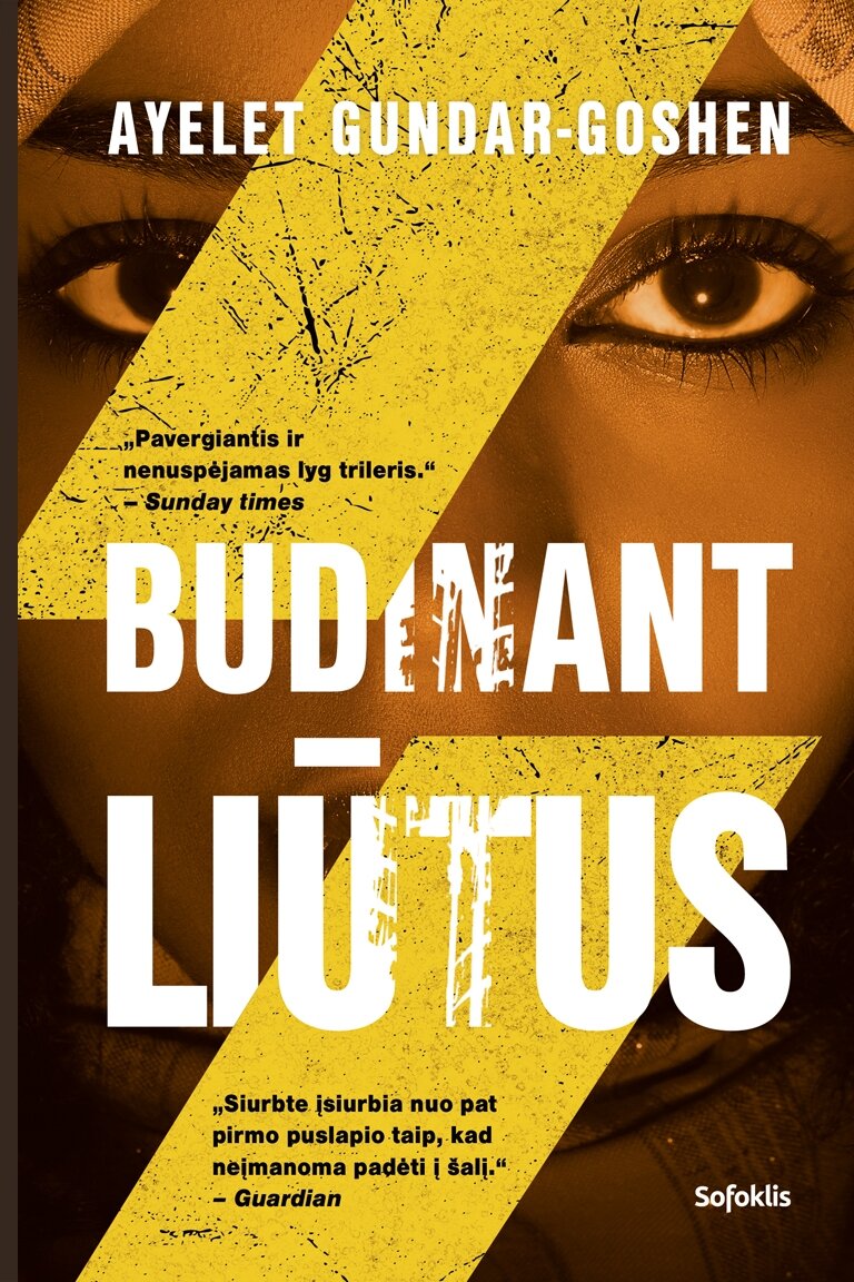 Budinant liūtus Budinant liūtus