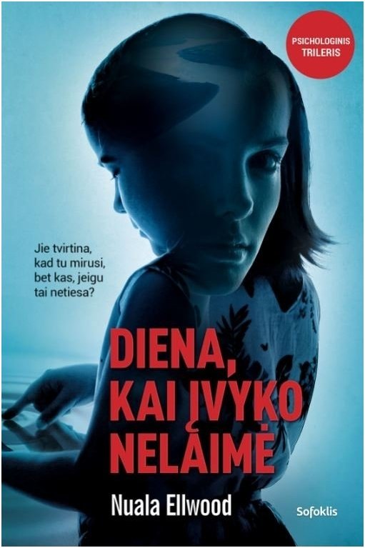 Diena, kai įvyko nelaimė (su minimaliais defektais)