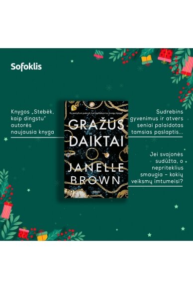 Gražūs daiktai 2 Gražūs daiktai 2
