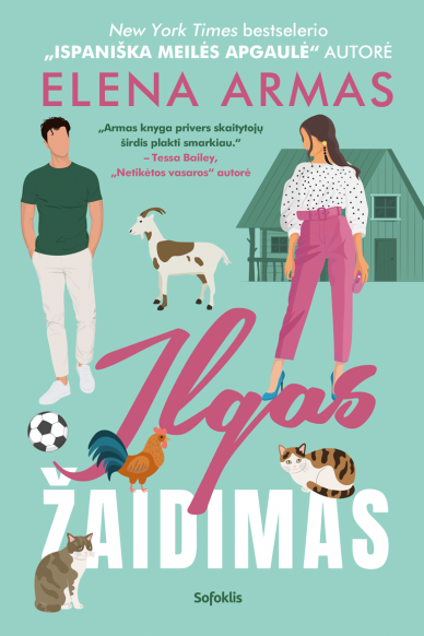 Ilgas žaidimas Ilgas žaidimas