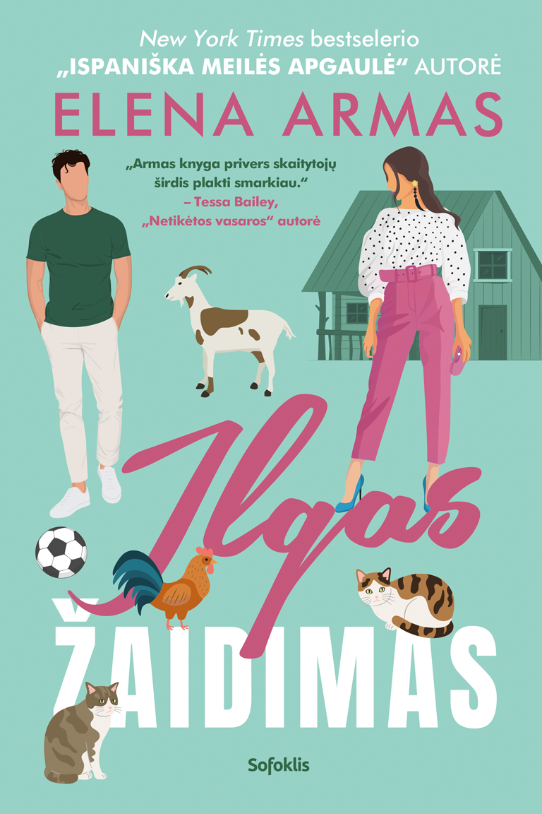 Ilgas žaidimas Ilgas žaidimas