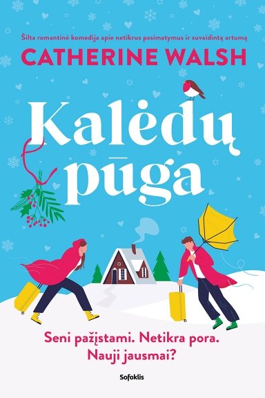 Kalėdų pūga