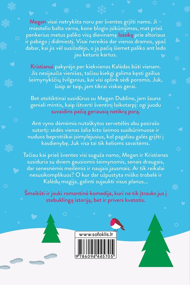 Kalėdų pūga 1 Kalėdų pūga 1