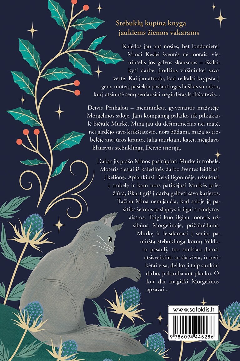Katė, išgelbėjusi Kalėdas 1
