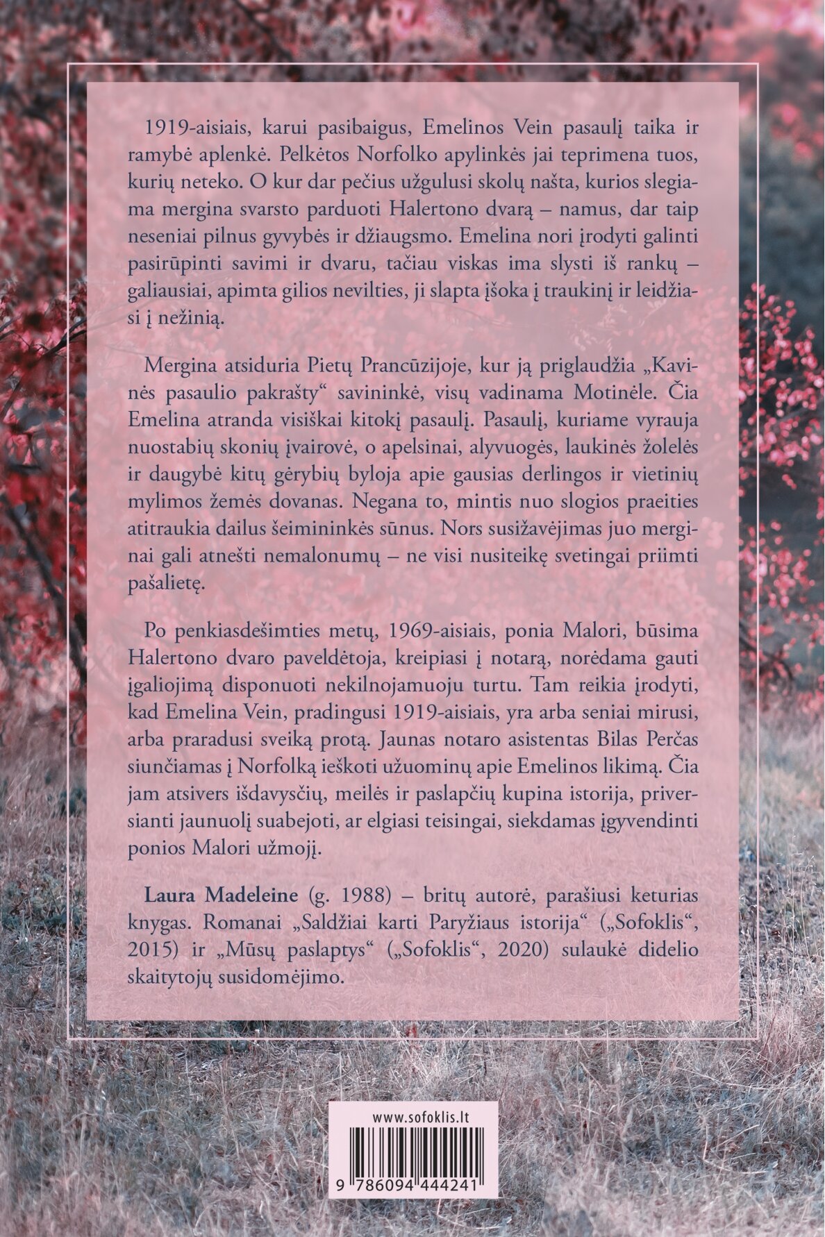 Kur sirpsta laukinės vyšnios (su minimaliais defektais) 1 Kur sirpsta laukinės vyšnios (su minimaliais defektais) 1