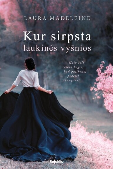 Kur sirpsta laukinės vyšnios (su minimaliais defektais) Kur sirpsta laukinės vyšnios (su minimaliais defektais)