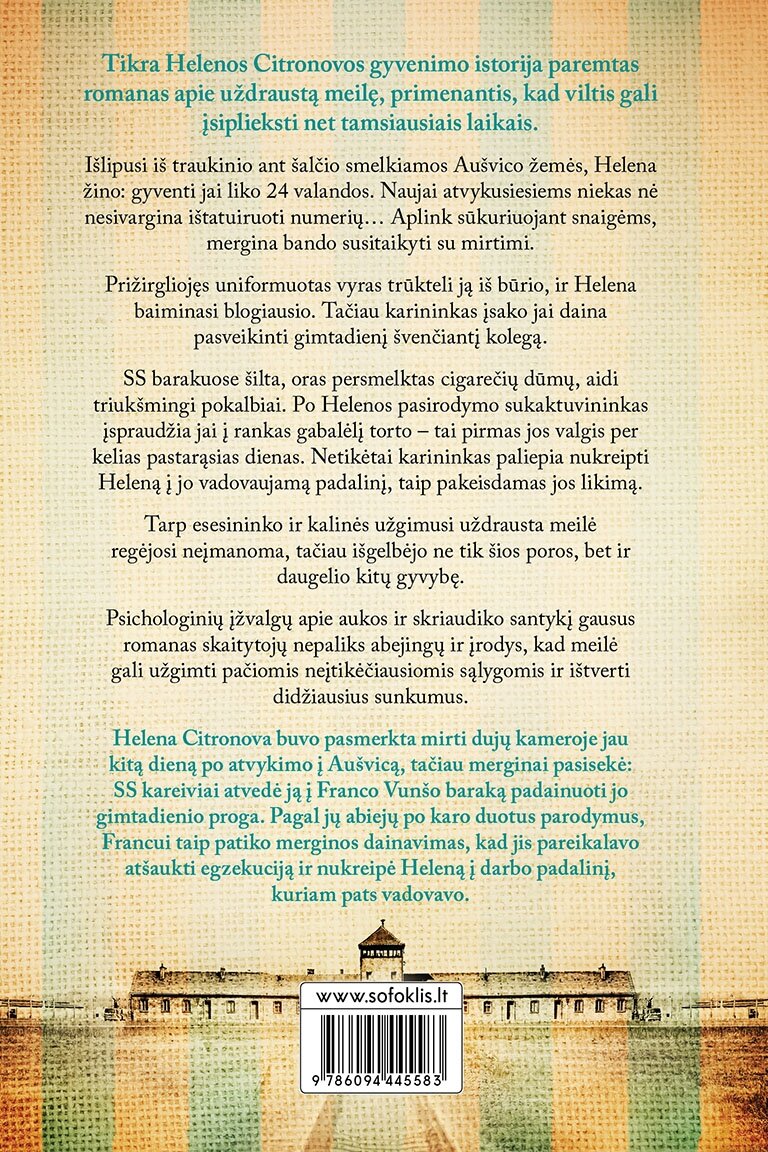Mergina dryžuota suknele 1 Mergina dryžuota suknele 1