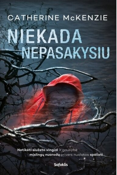 Niekada nepasakysiu (su minimaliais defektais)