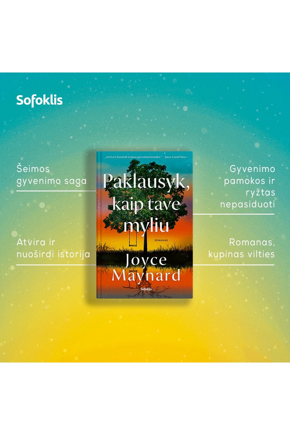 Paklausyk, kaip tave myliu (su minimaliais defektais) 3