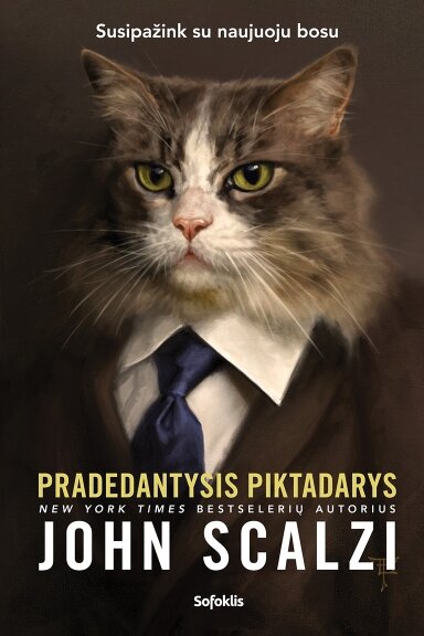 Pradedantysis piktadarys Pradedantysis piktadarys