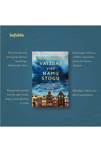 Vaizdas virš namų stogų 2 Vaizdas virš namų stogų 2