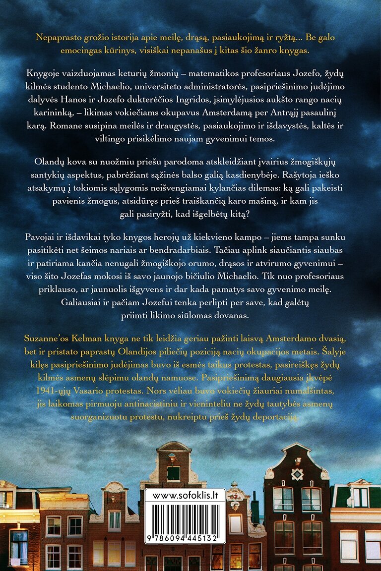 Vaizdas virš namų stogų 1 Vaizdas virš namų stogų 1